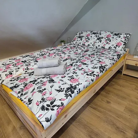 ゲストハウス U Tymka *