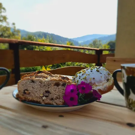 ゲストハウス U Tymka *