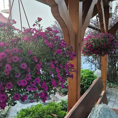 U Tymka Guest house