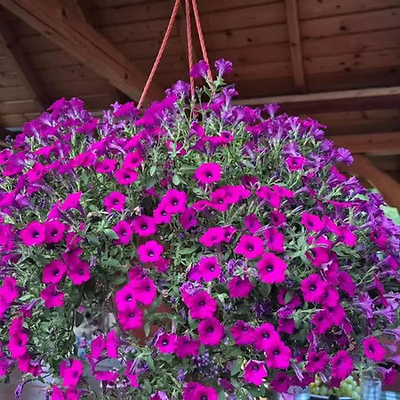 Casa de hóspedes U Tymka Wisła