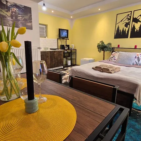 ゲストハウス U Tymka ヴィスワ