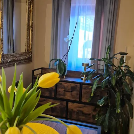 ゲストハウス U Tymka *