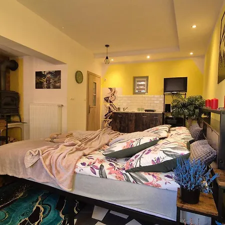 U Tymka ヴィスワ