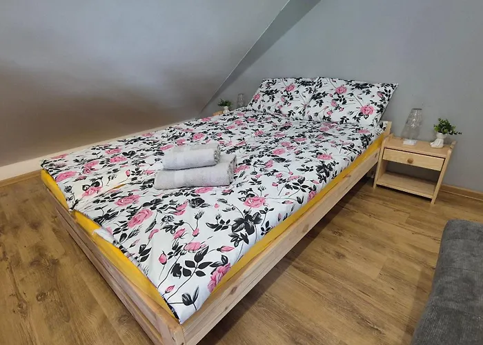 בית הארחה U Tymka *