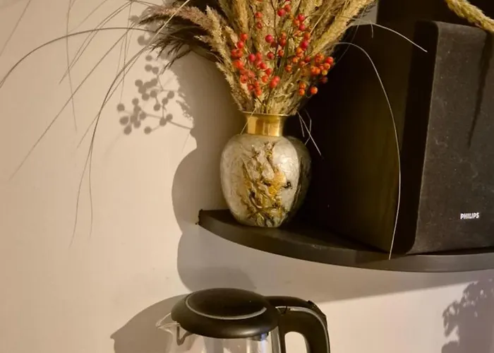 U Tymka ויסלאו